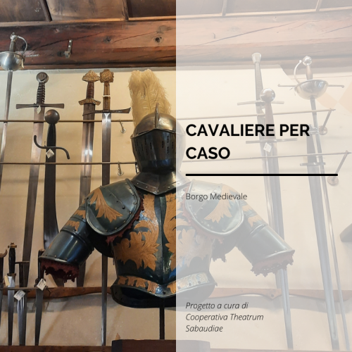 cavaliere_per_caso
